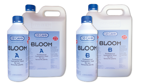 Bloom B product