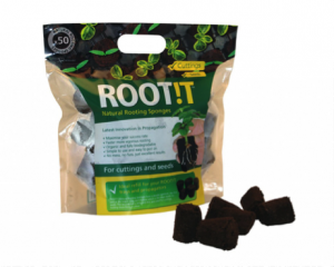 Rooting sponges