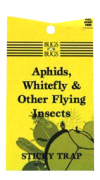Insect trap