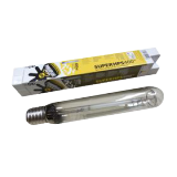 Powerplant bulb