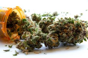 hydroponic growing equipment for medical marijuana australia