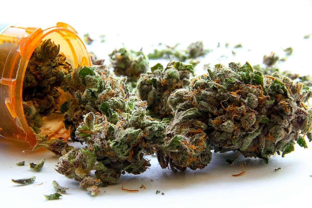 Medical Cannabis in Australia | Hydroponic Generations