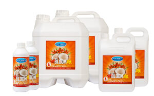 Coco Bloom Product
